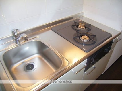 フェニックス代田橋[1K/21.66m2]のキッチン