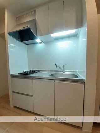 ヴィラ　エクセレーナ[1K/26.08m2]のキッチン