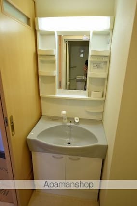 レーベンス柏木[1K/27.06m2]の洗面所