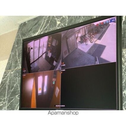 グリーンハイツ徳川[1DK/30.5m2]のセキュリティ