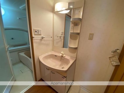 Ｓｔａｇｅ　Ｏｎｅ（ステージワン）[3LDK/67.33m2]の洗面所