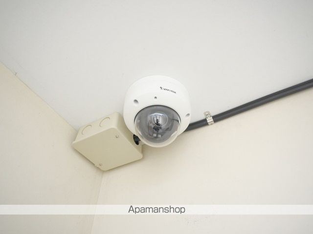 ロアールのその他写真