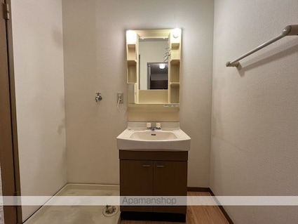 ボナール本郷[2LDK/55.36m2]の洗面所