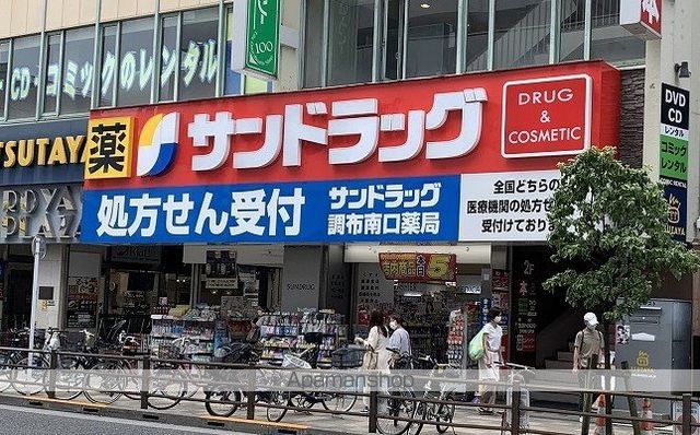 カンパニュラの周辺写真