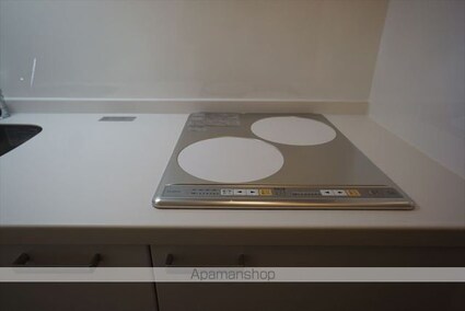 ザ・テラス丸の内[1LDK/43.46m2]のキッチン