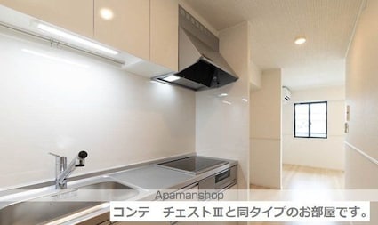 グランツ　ヴァルト[1LDK/42.38m2]のキッチン