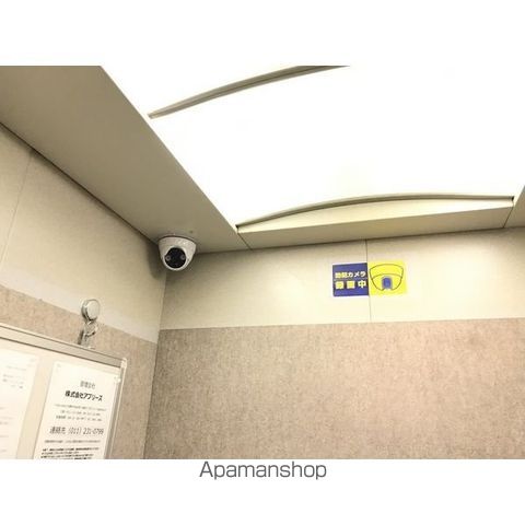 PLUMOSUSのその他写真