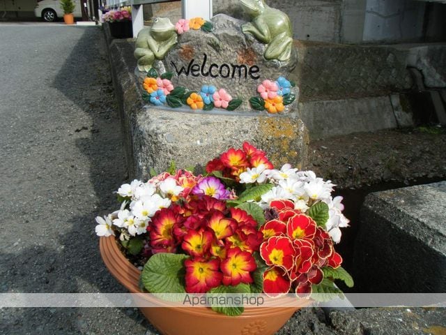 ブエナビスタ紀の川Iの内装写真