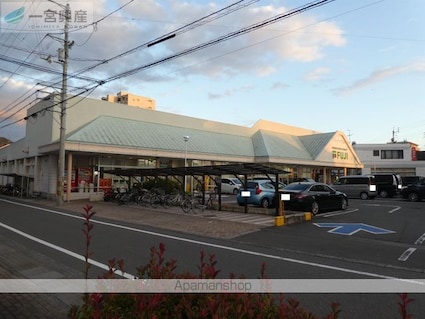 ダイヤモンドベイ枝松２[1K/26.06m2]の周辺4