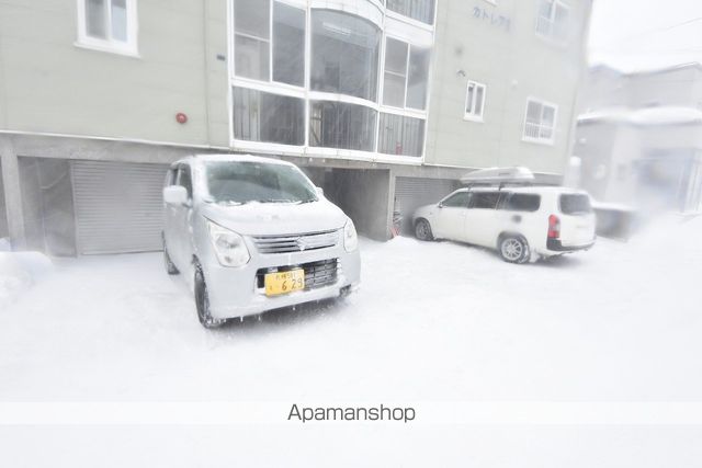 カトレアIIIのその他写真