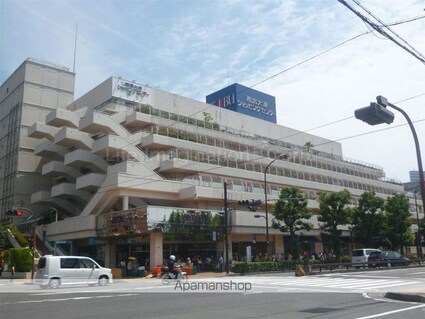 パールハイツ打出浜[3LDK/63.5m2]の周辺13