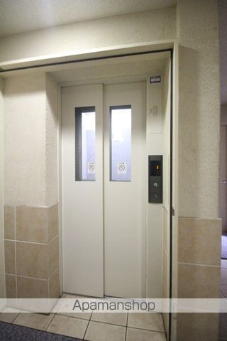 ルピナスのその他写真