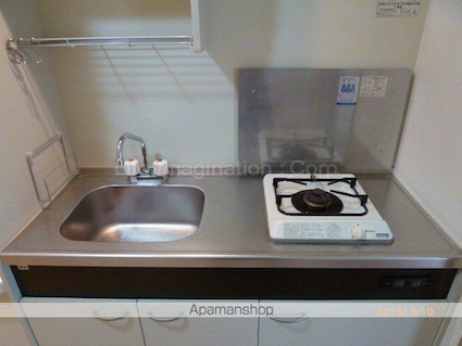 メゾンドプチシャン[1K/24.8m2]のキッチン