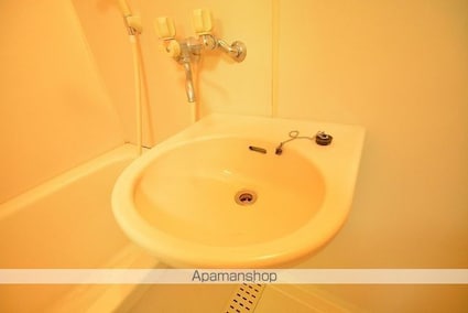 ソミュール南小泉[1K/23.6m2]の洗面所