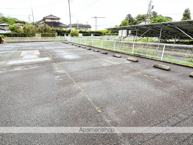 サンスベリアIIのその他写真