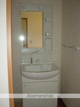 グリーンロック[2LDK/51.3m2]の洗面所