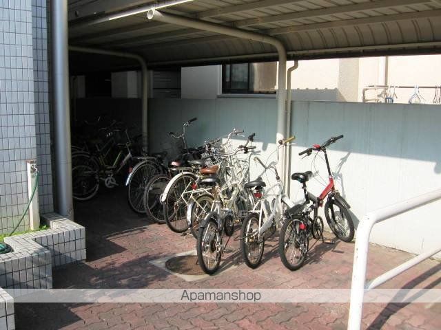 ティピカルタルミのその他写真