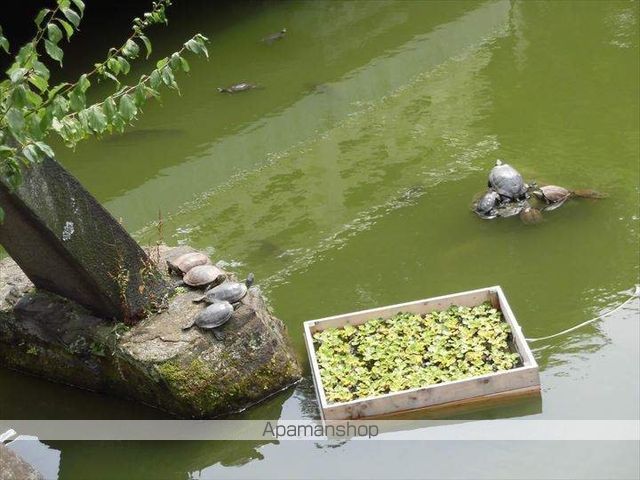 プリマヴェーラの周辺写真