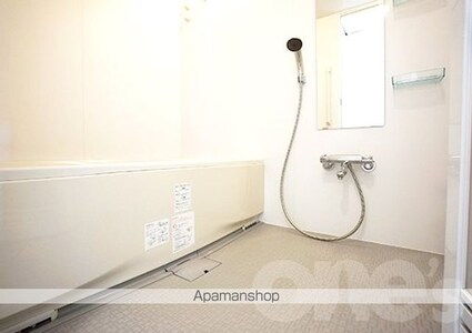 ＩＺＵＭＩ　Ⅰ[1LDK/40.7m2]のバス