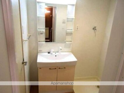 ペットピア春日[1LDK/44.95m2]の洗面所