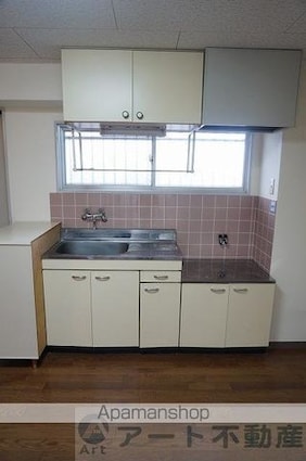 ＩＫＥＵＣＨＩ　ＨＥＩＧＨＴＳ[1LDK/38.88m2]のキッチン
