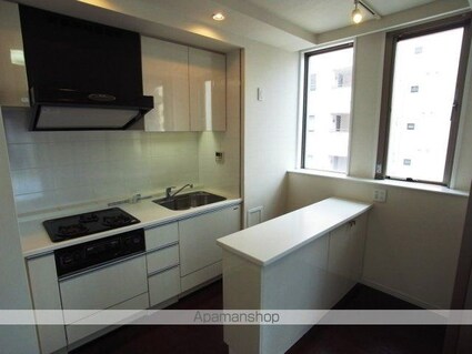 ディ・レジデンセス銀座東[1SLDK/43.02m2]のキッチン