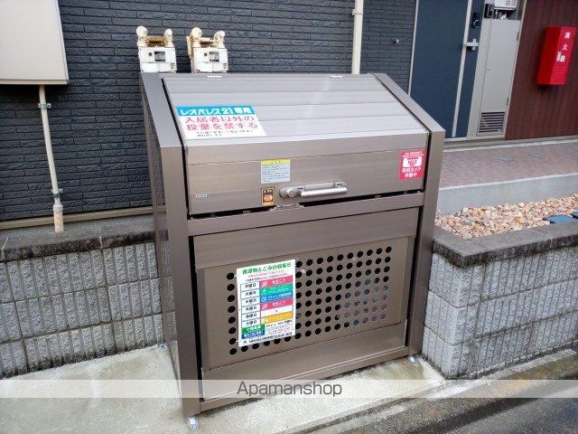 クレイノコンソラータのその他写真