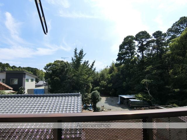 ひまわりのその他写真