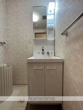 ラフィーネ丸武[2LDK/58.3m2]の洗面所