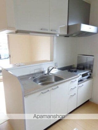 グレイスコート手城Ｂ[2LDK/67m2]のキッチン