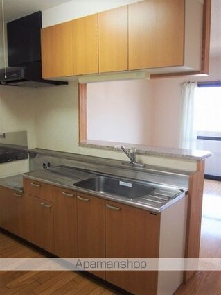 ハミルトングレイス[2LDK/50.44m2]のキッチン