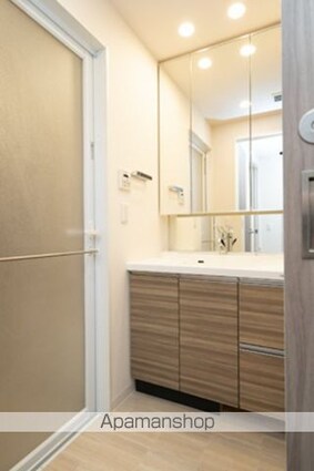 ルミレイス豊洲[1LDK/46.37m2]の洗面所