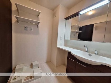 ウィルコート[1LDK/54.72m2]の洗面所