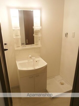 ウイステリア名城[1K/30.72m2]の洗面所