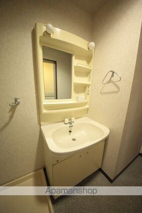 ニューリバーコート[3LDK/61.48m2]の洗面所