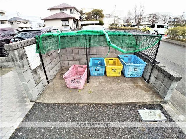 レオネクストヒマワリのその他写真