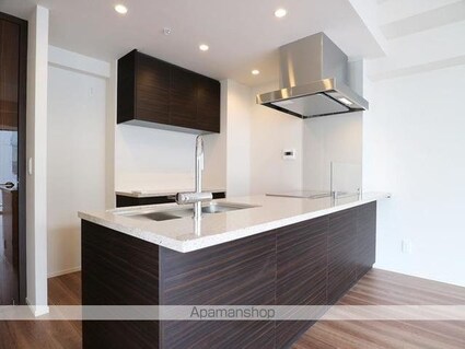 ＴＨＥ千代田麹町ＴＯＷＥＲ[2LDK/73.21m2]のキッチン