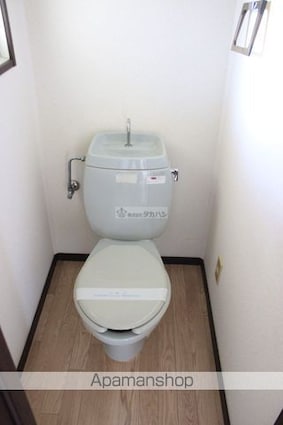 サンシャイン中川[2DK/38.57m2]のトイレ