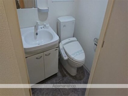 ロアール大山[1K/30.3m2]のその他部屋・スペース