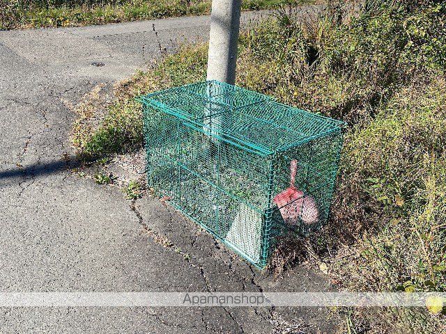 レオパレスグリーンヒルのその他写真