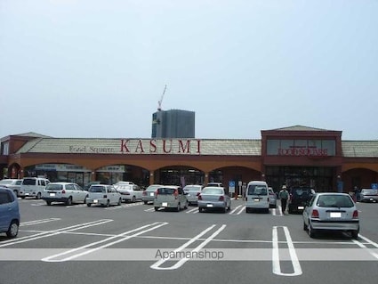 茨城県水戸市見川３丁目[1K/30m2]の周辺1