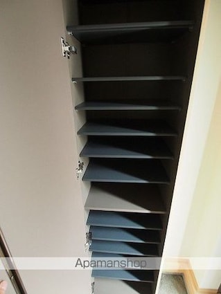 リアン　リン（Ｌｉｅｎ　Ｌｉｎ）[1R/30.5m2]の玄関