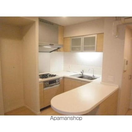 パークキューブ日本橋水天宮[1DK/37.43m2]のキッチン