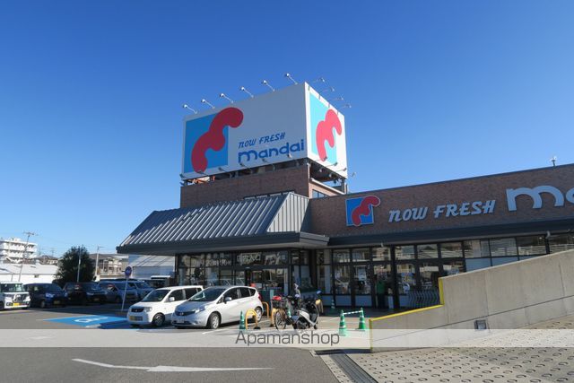 デイジーの周辺写真