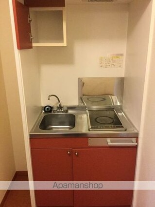 レオパレスソフィアⅡ[1K/23.72m2]のキッチン