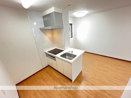 グリューネ　ハウス[1LDK/49.59m2]のキッチン