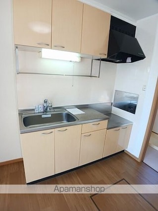 エフインフィニート[1SDK/43.08m2]のキッチン