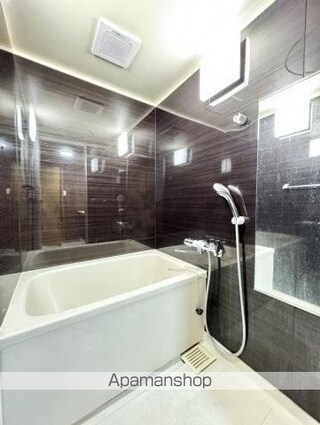 ラッフルズ　ティファニー[2DK/48.28m2]のバス