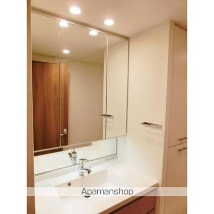 パークアクシス月島マチュアスタイル[1LDK/49.1m2]の洗面所