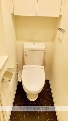 ＬＯＶＩＥ麻布十番[1R/26.16m2]のトイレ